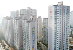 마포자이 대표 이미지