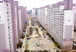 원당자이 대표 이미지